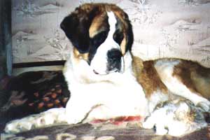 Красотка Люси с котенком июнь 2003